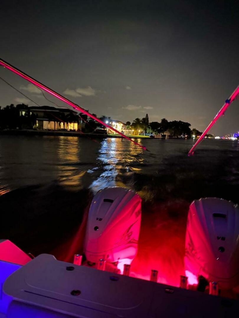 Slide: The Image of Everglades 355 CC 2019 - 4622604