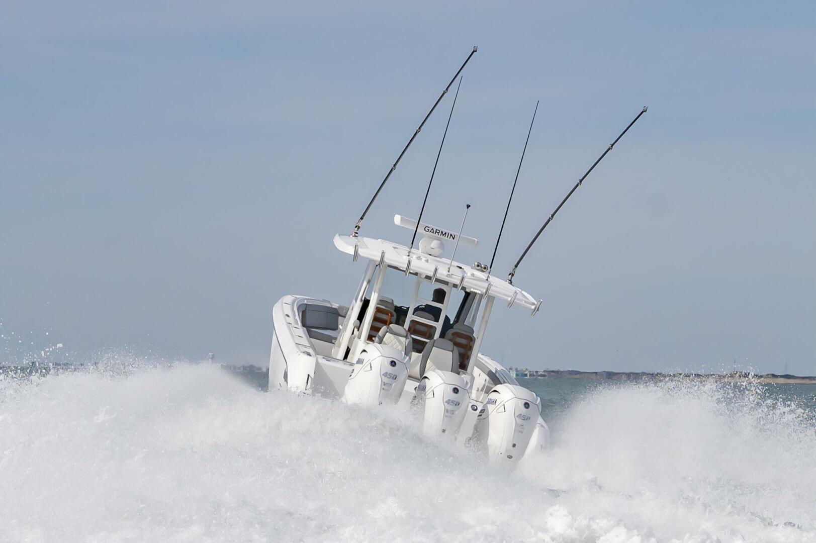 Slide: The Image of Everglades 395cc 2024 - 4206219