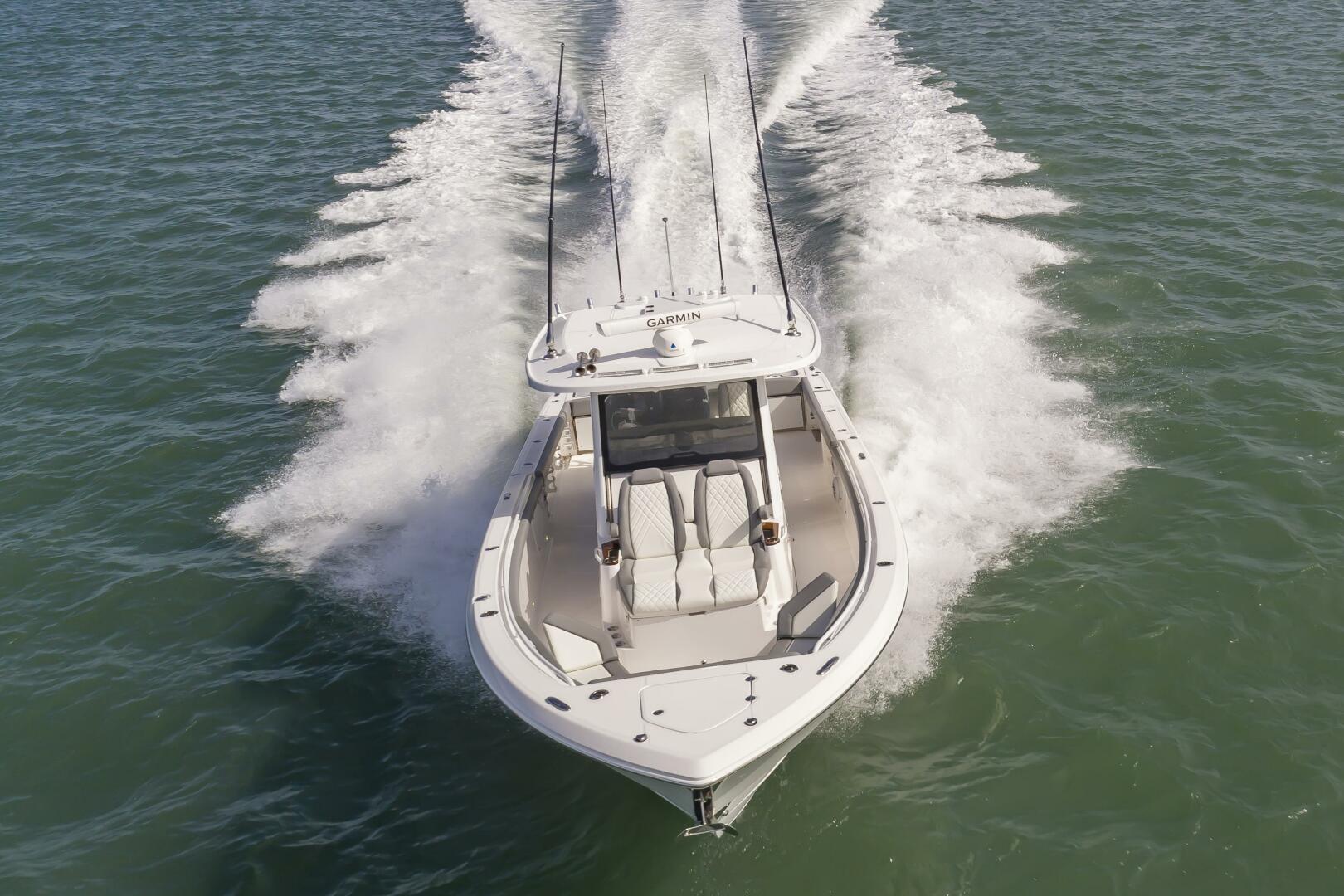 Slide: The Image of Everglades 395cc 2024 - 4206222