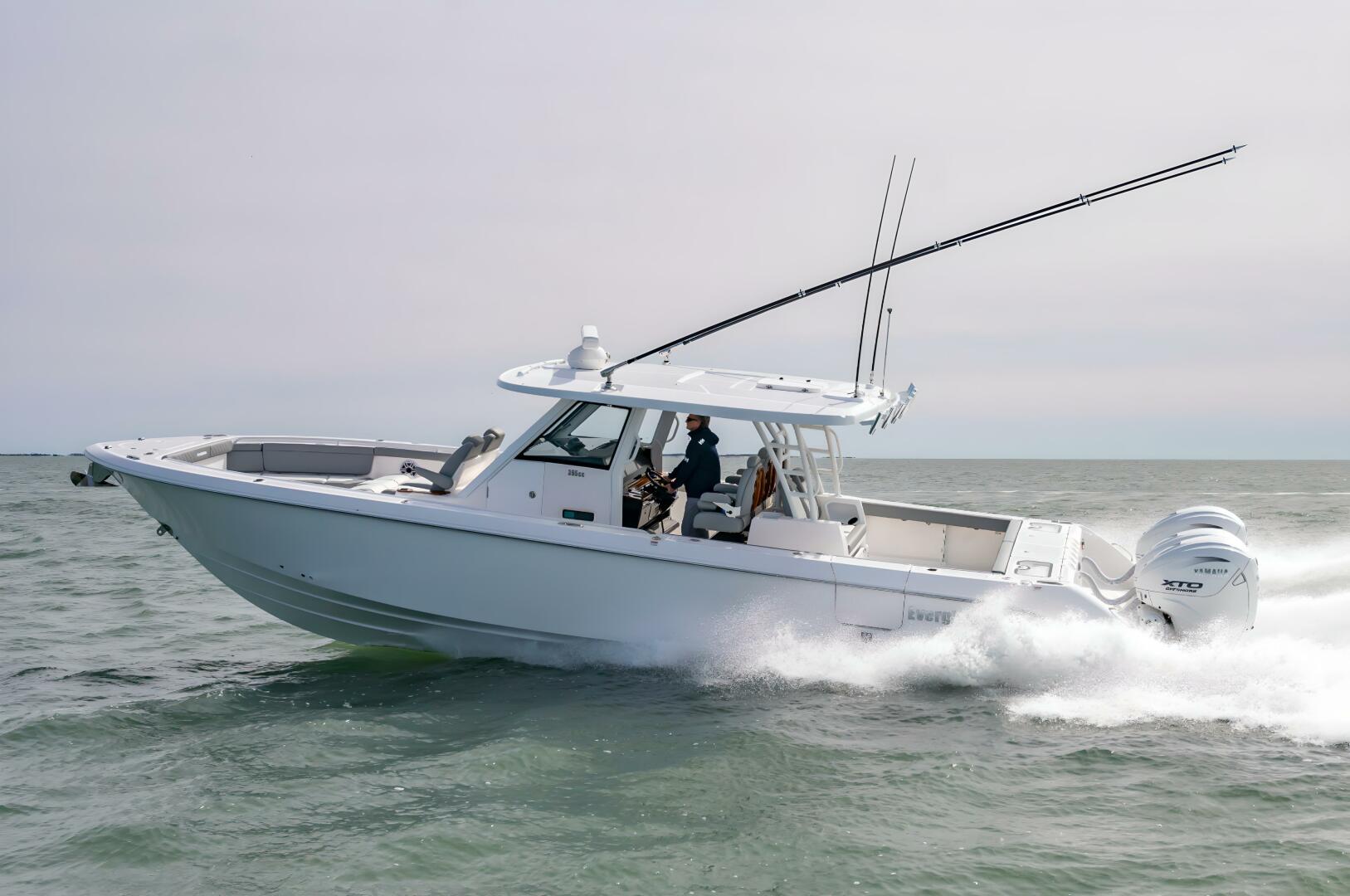 Slide: The Image of Everglades 395cc 2024 - 4206238