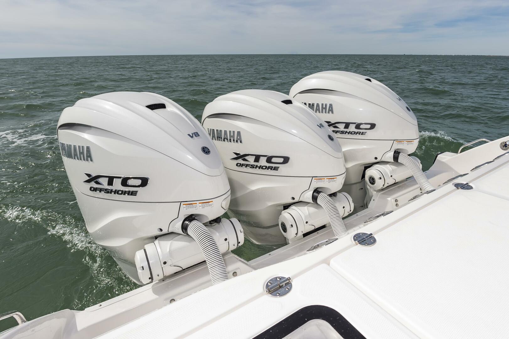 Slide: The Image of Everglades 395cc 2024 - 4206285