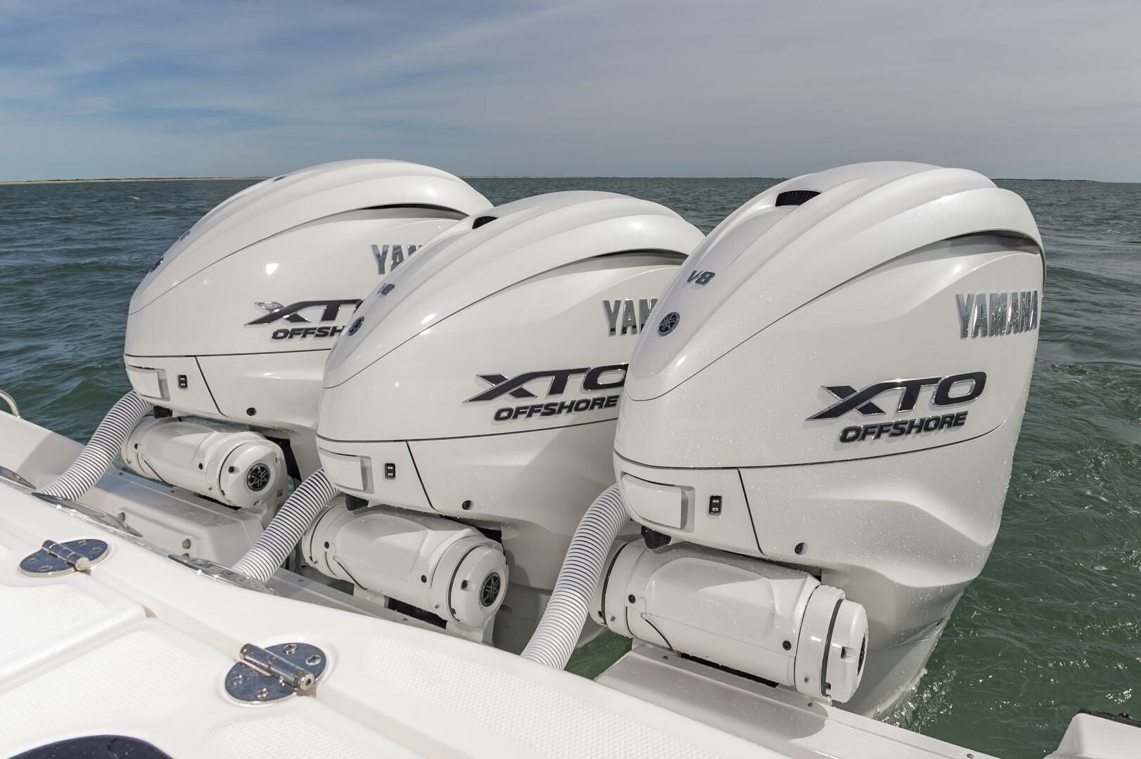 Slide: The Image of Everglades 395cc 2024 - 4206286