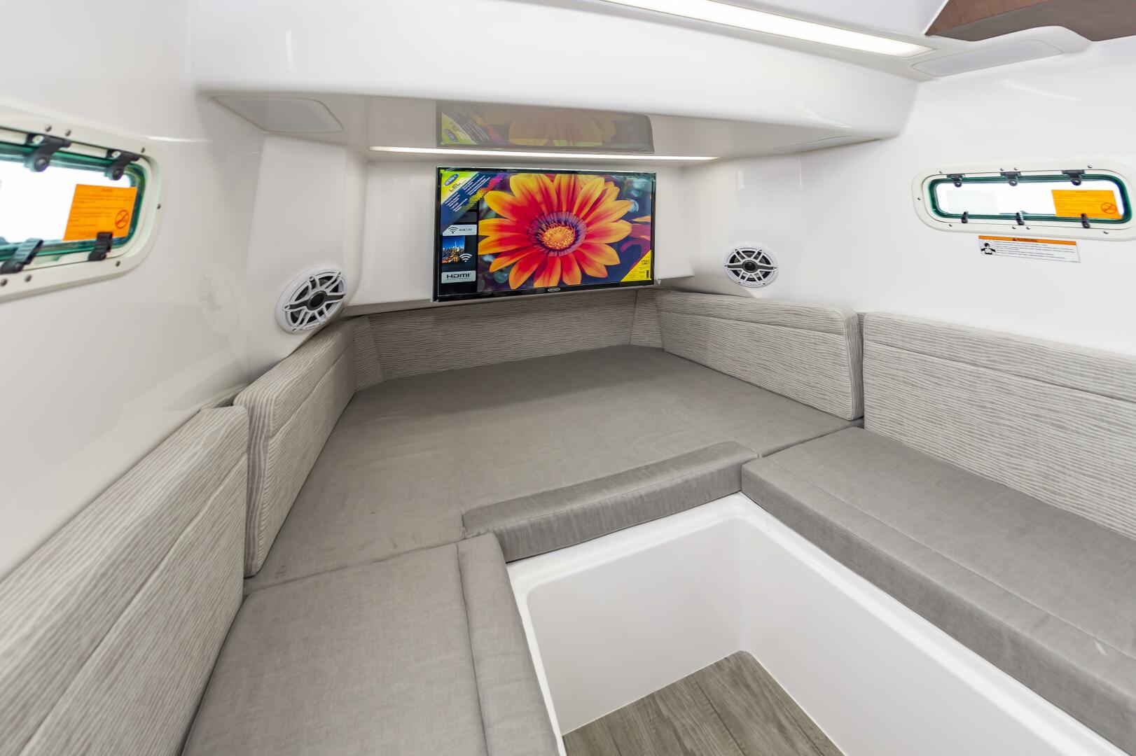 Slide: The Image of Everglades 395cc 2024 - 4206302