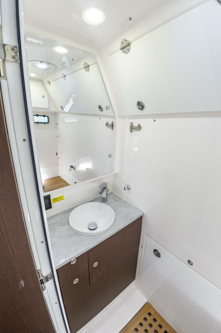 Slide: The Image of Everglades 395cc 2024 - 4206318