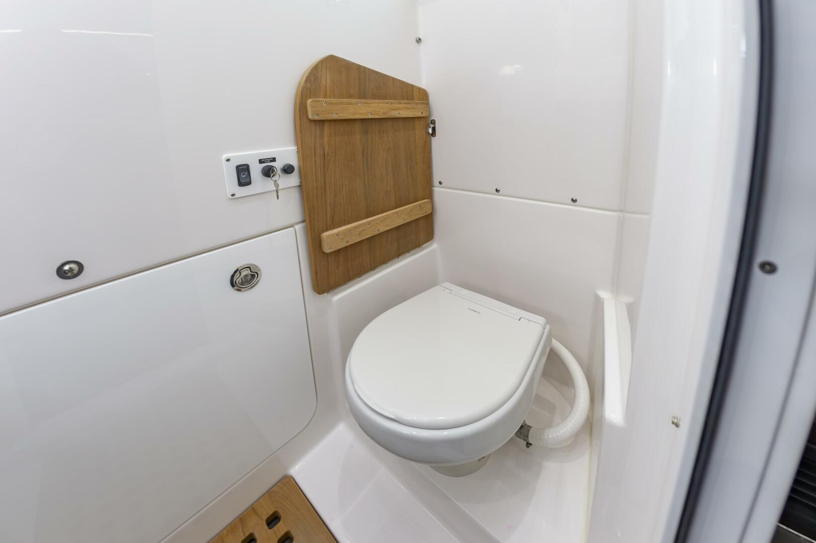 Slide: The Image of Everglades 395cc 2024 - 4206329