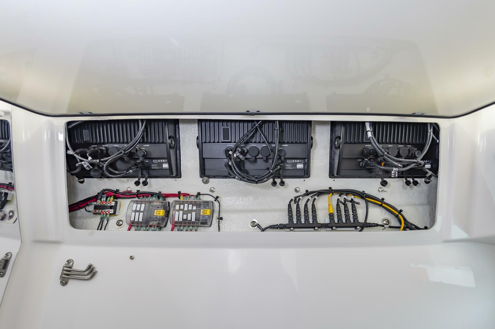 Slide: The Image of Everglades 395cc 2024 - 4206336