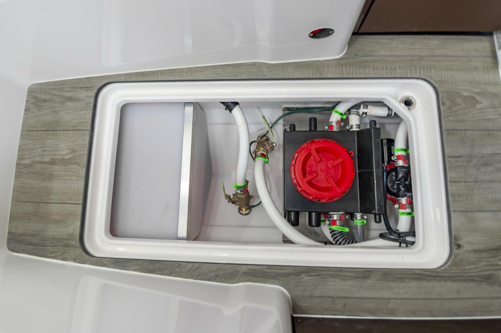 Slide: The Image of Everglades 395cc 2024 - 4206352