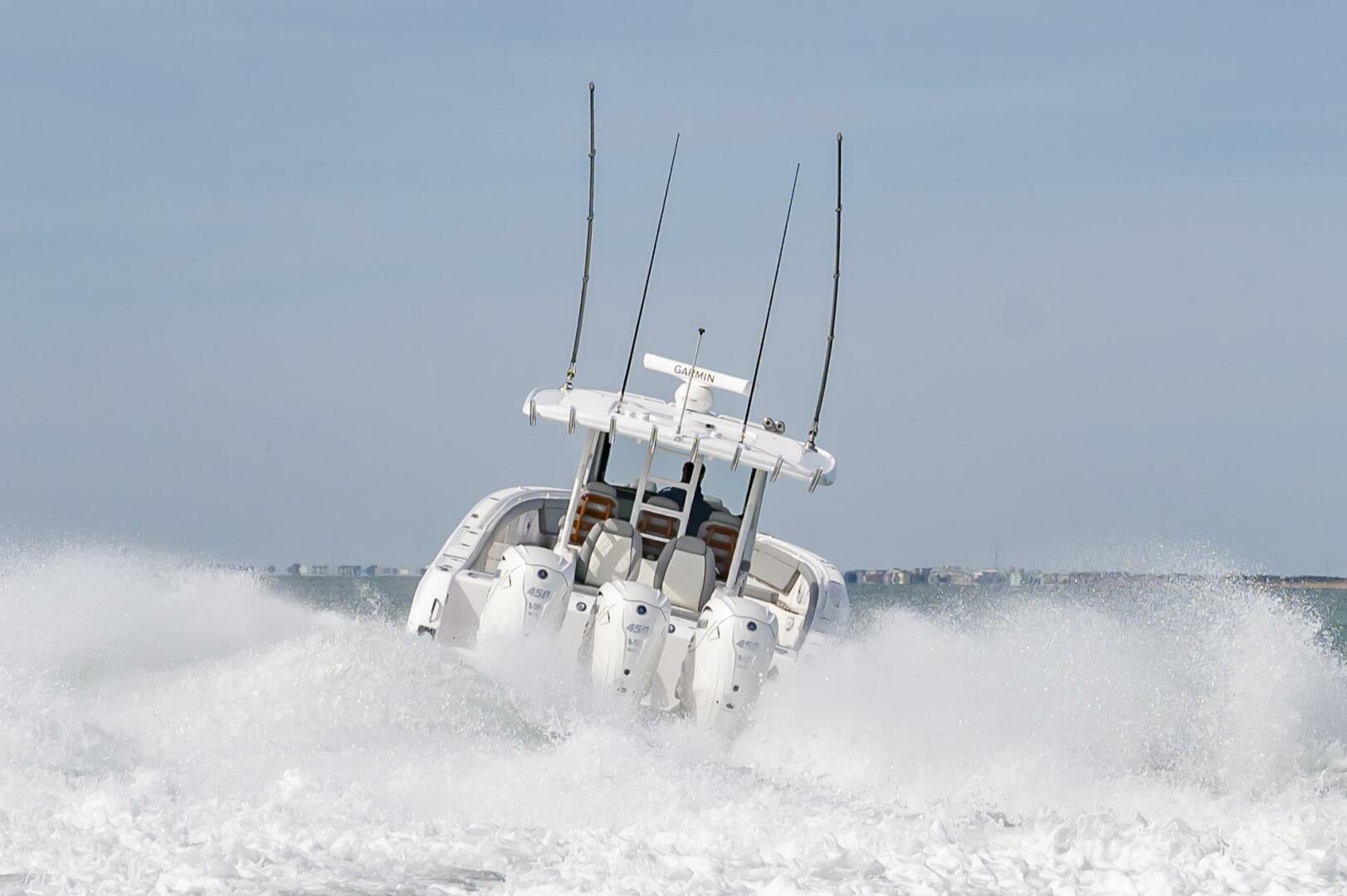 Slide: The Image of Everglades 395cc 2024 - 4206383