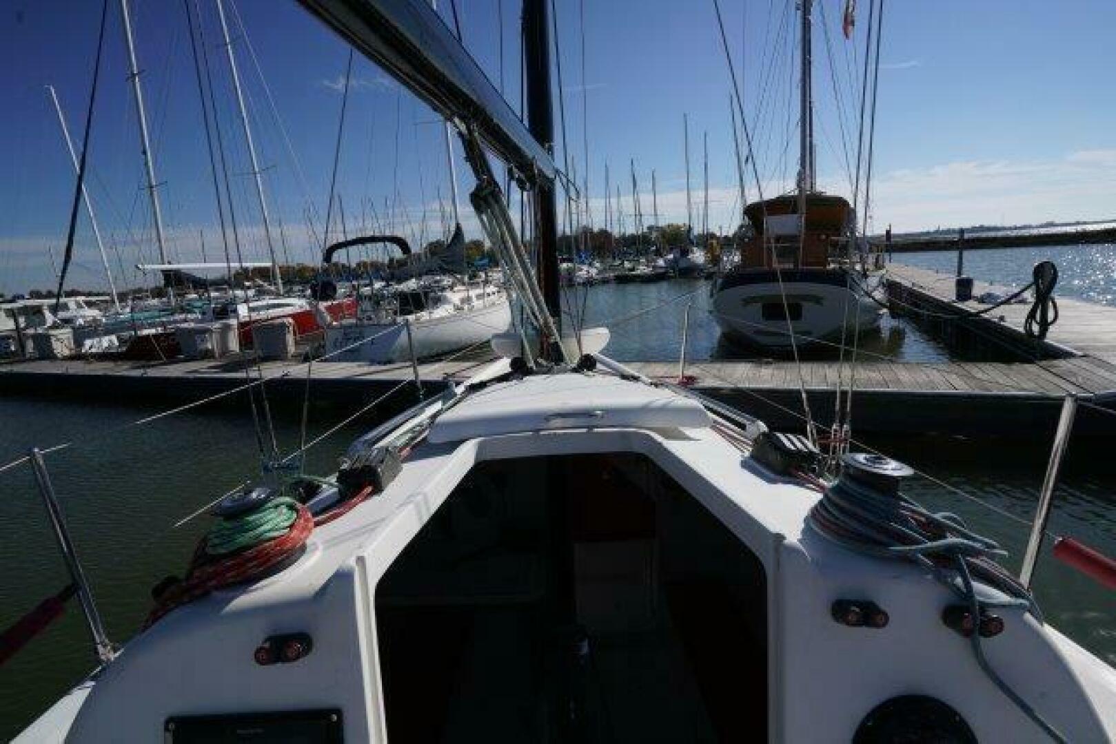 Slide: The Image of Flying Tiger FT10M 2007 - 5289483