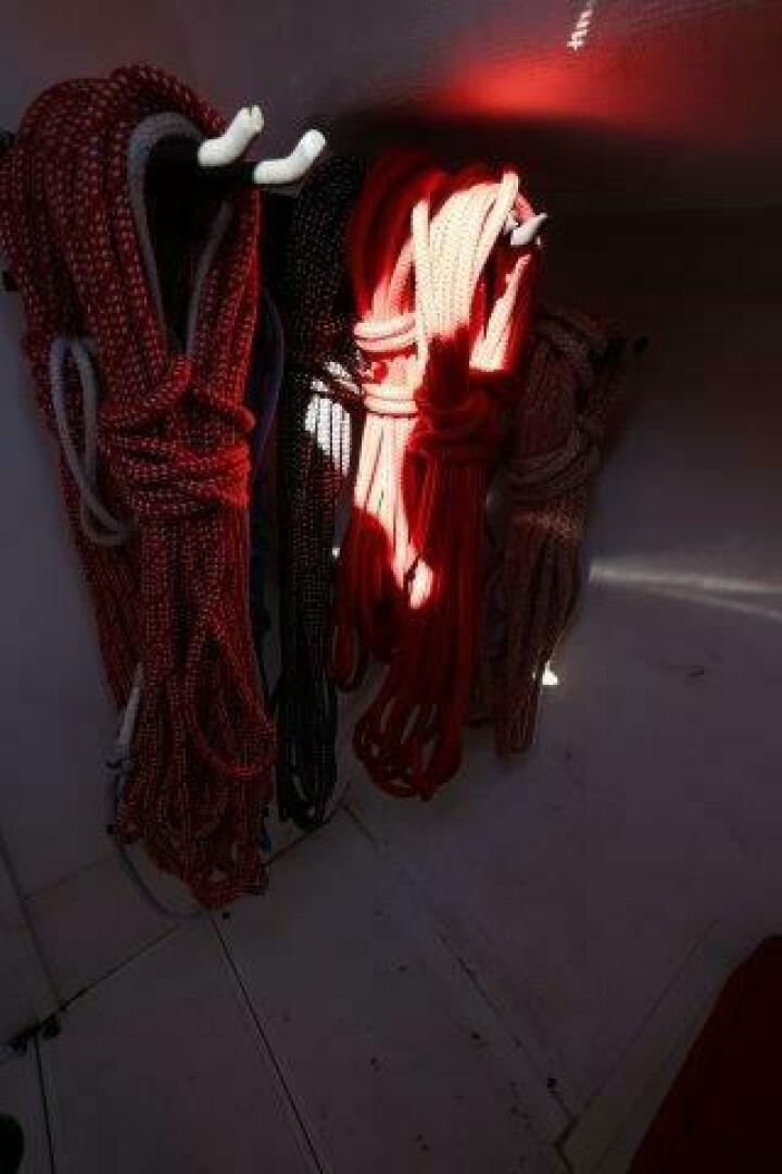 Slide: The Image of Flying Tiger FT10M 2007 - 5289500