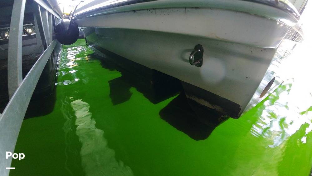 Slide: The Image of Formula 34PC 1997 - 15661750