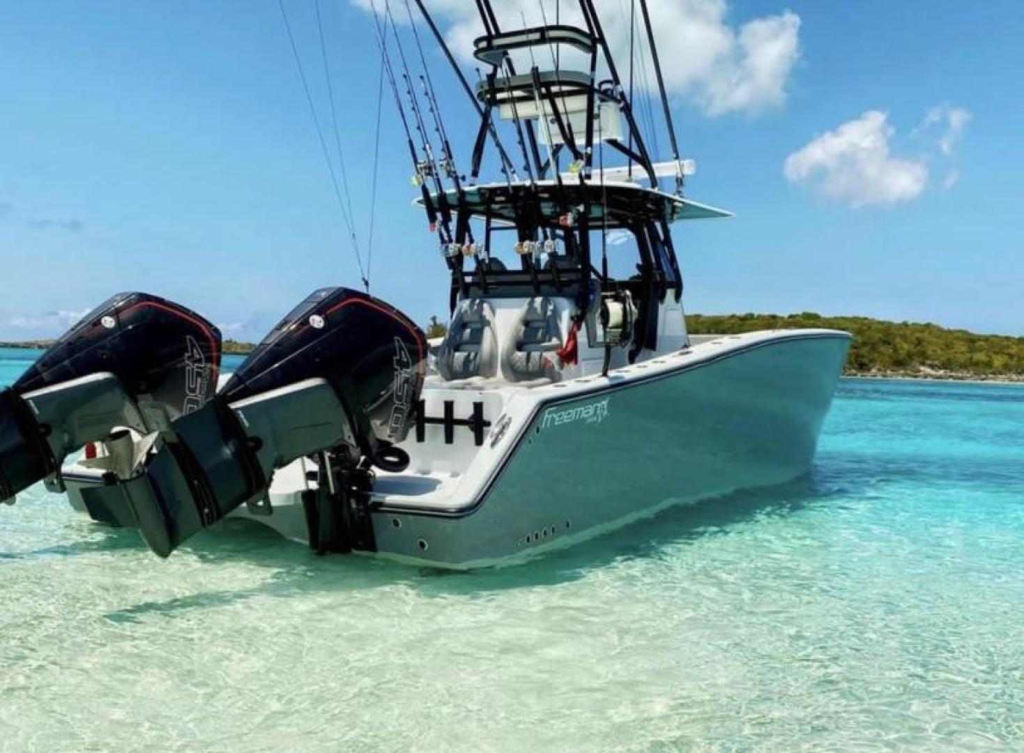 Slide: The Image of Freeman Catamaran 2021 - 3460692