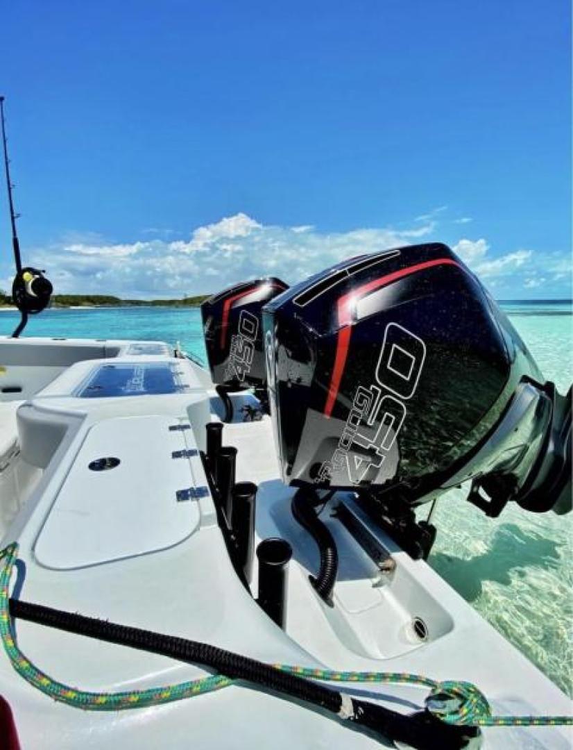 Slide: The Image of Freeman Catamaran 2021 - 3460694