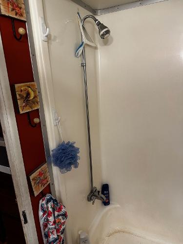 Slide: The Image of Shower area with blue loofah, showerhead, and floral decor. - 29