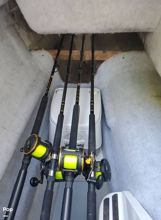 Slide: The Image of Glacier Bay 220 1996 - 15392961