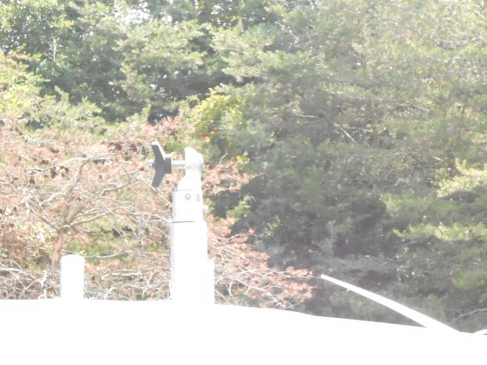 Slide: The Image of Grady-White 263 Chase CC 1999 - 12599845