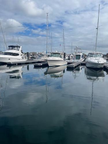 Slide: The Image of Boats docked at marina, featuring a 2020 Grady-White 330 Express. - 15