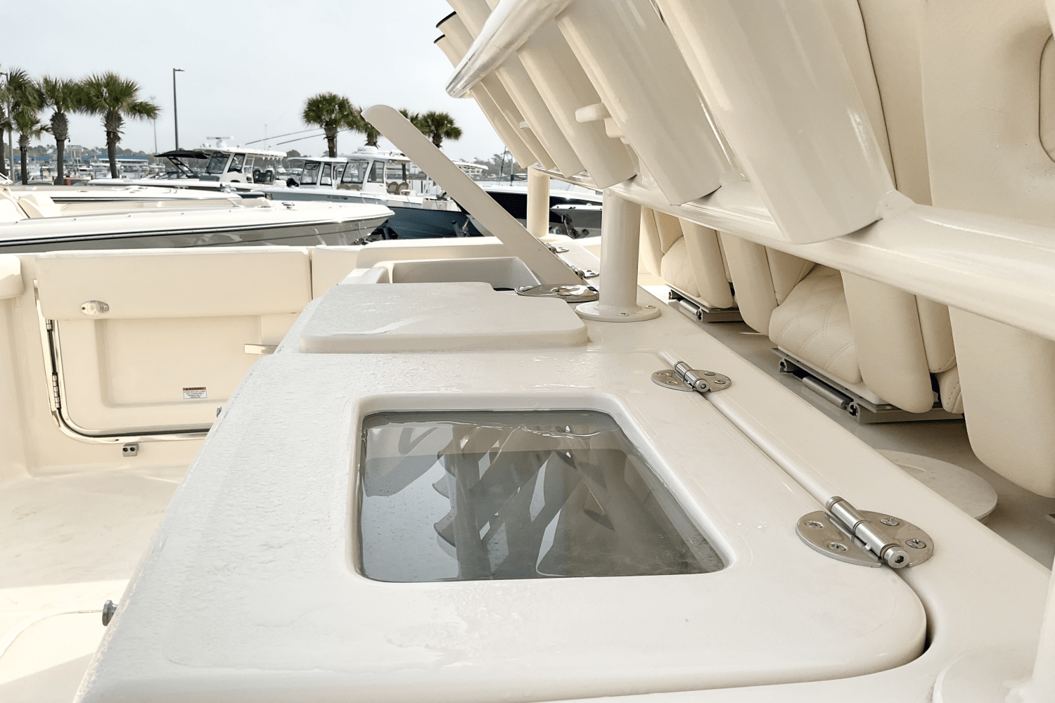 Slide: The Image of Grady-White Canyon 336 2025 - 10