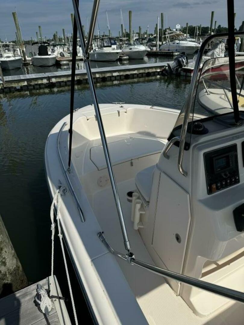 Slide: The Image of Grady-White Fisherman 2020 - 4554779