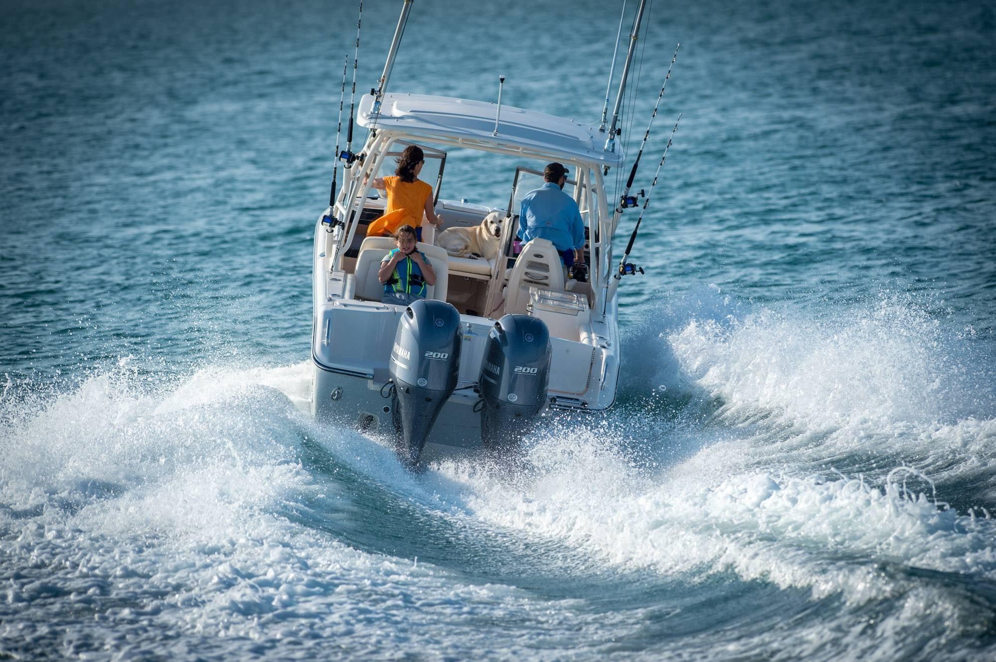 Slide: The Image of Grady-White Freedom 275 2026 - 2