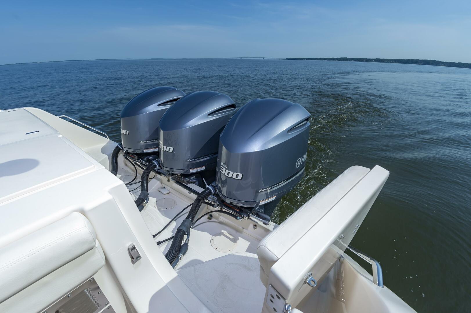 Slide: The Image of 33GradyWhite027 - 5430789