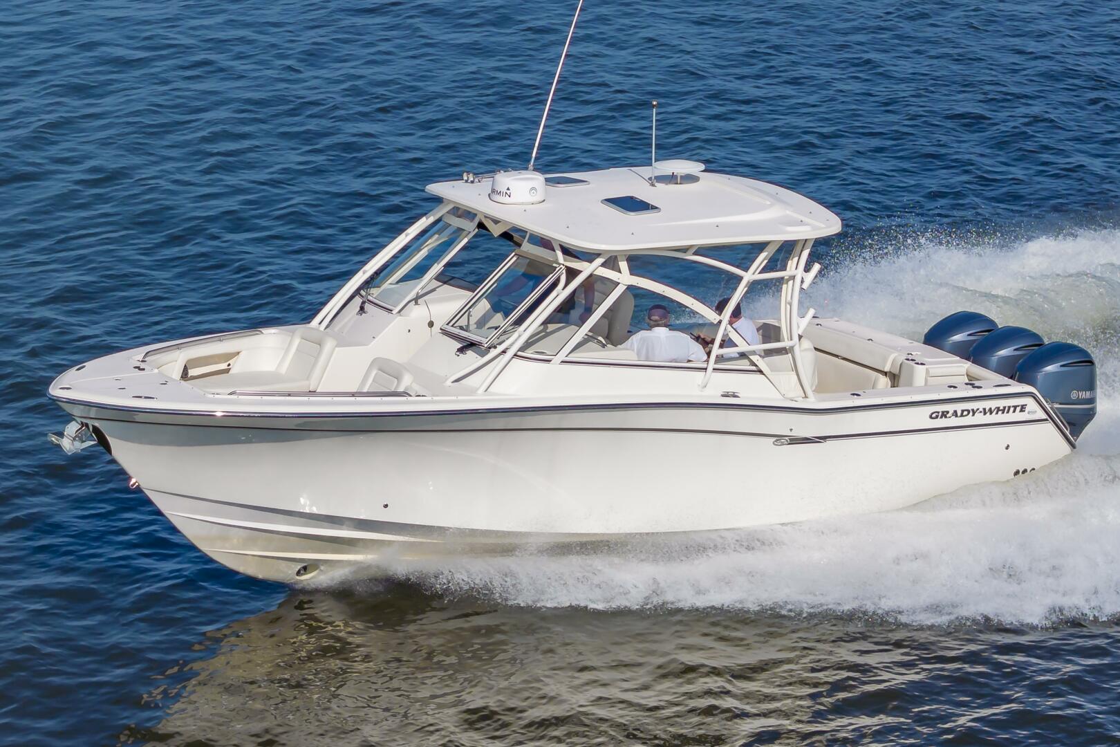 Slide: The Image of 33GradyWhite059 - 5430821