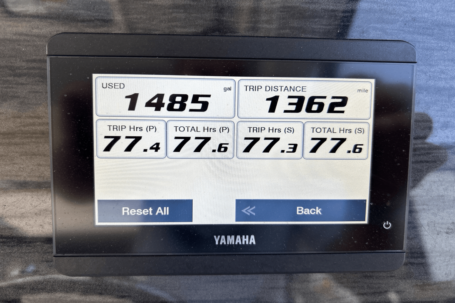 Slide: The Image of Grady-White Freedom 335 2024 - 22