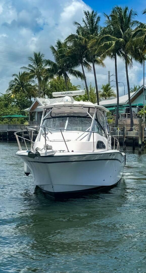 Slide: The Image of Grady-White Marlin 300 2001 - 5478700