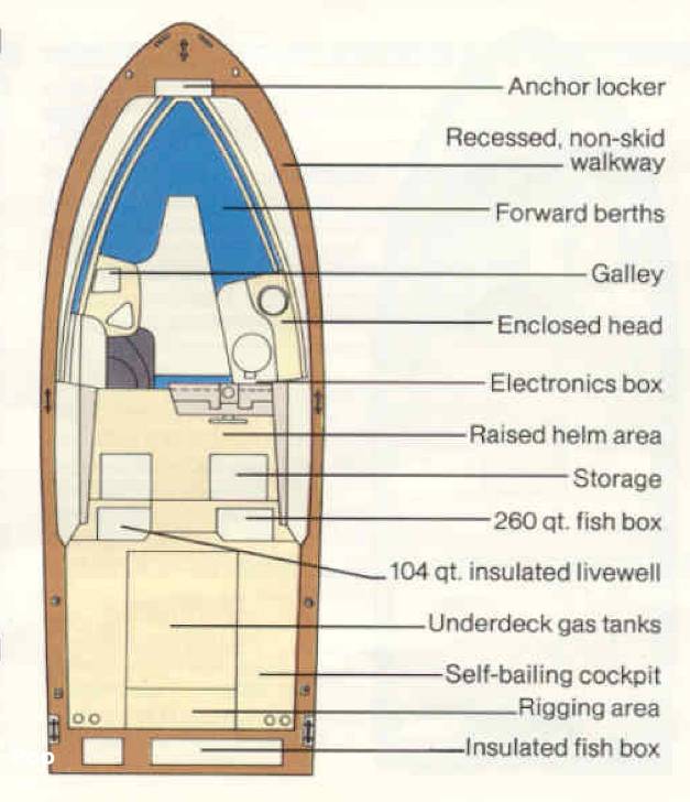 Slide: The Image of Grady-White Sailfish 255 1992 - 79