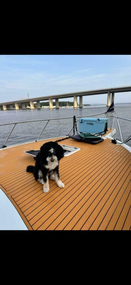 Slide: The Image of Hatteras Convertible 1995 - 11