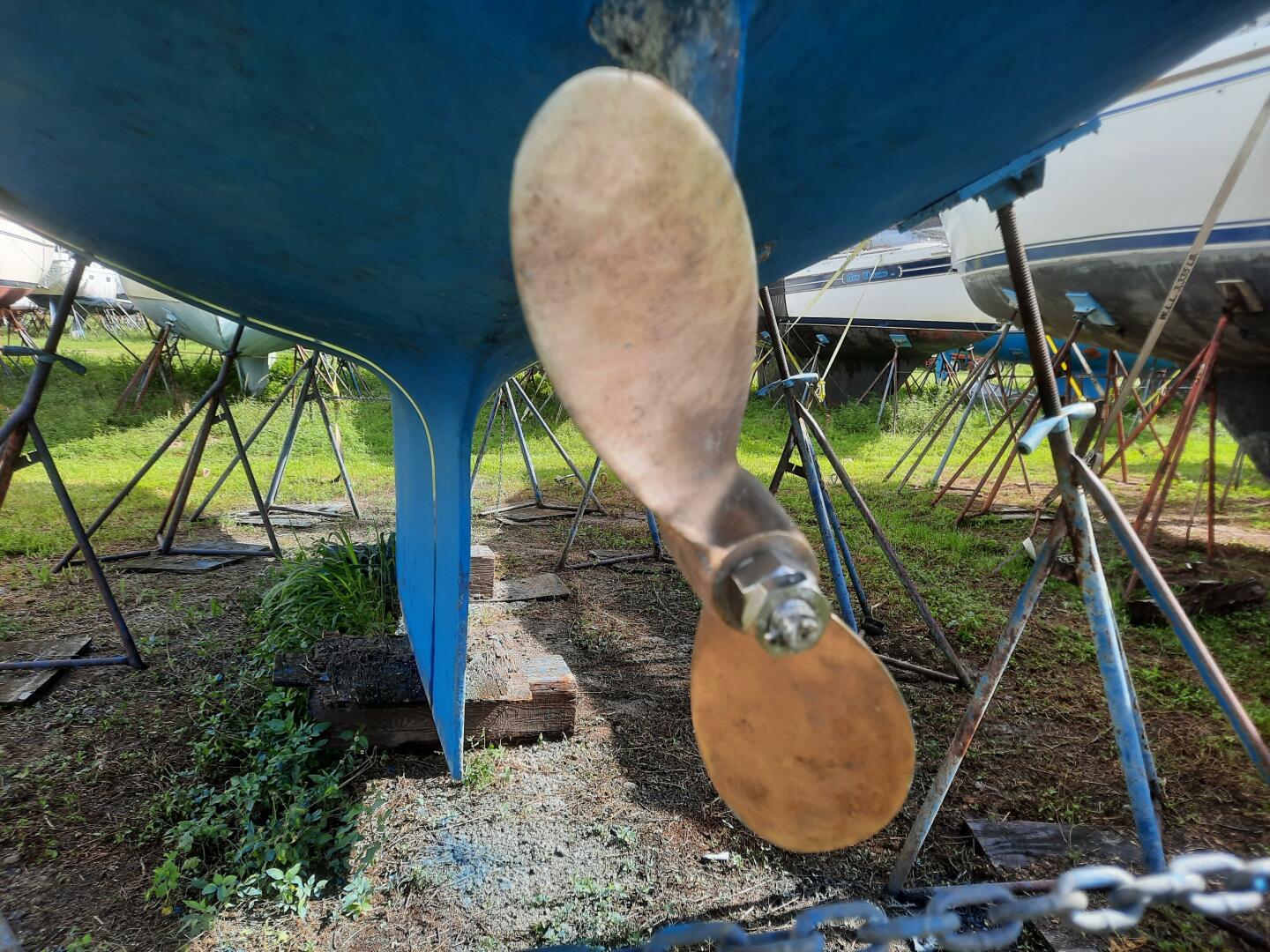 Slide: The Image of 20220528_095559 - 4585283