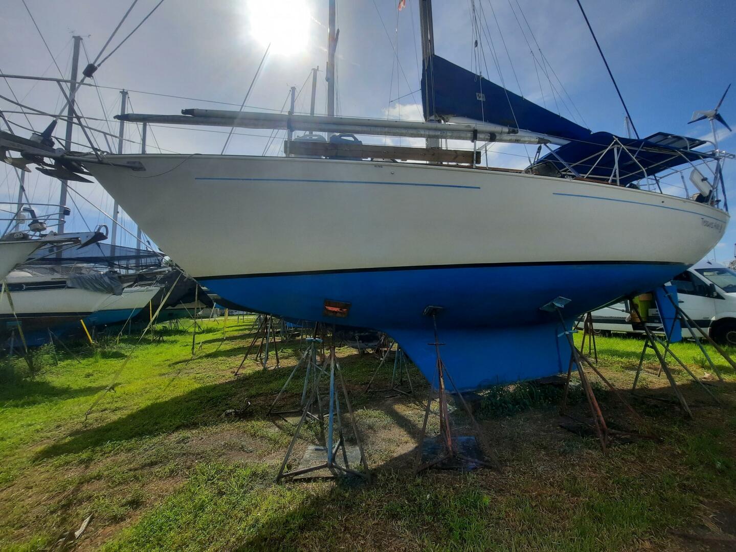 Slide: The Image of 20220528_095739 - 4585287