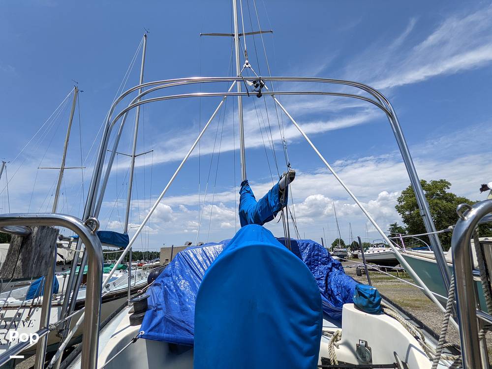 Slide: The Image of Bimini Frame - 65