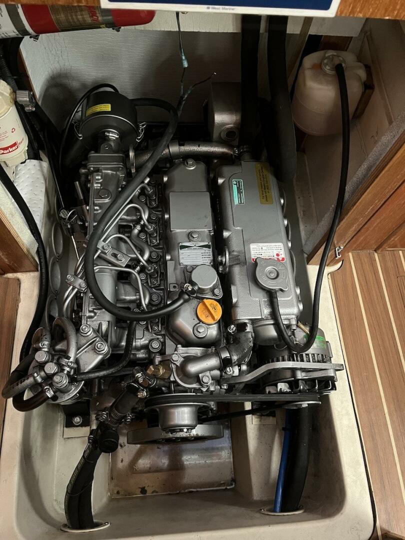 Slide: The Image of Gabbiano 37 - 4286647