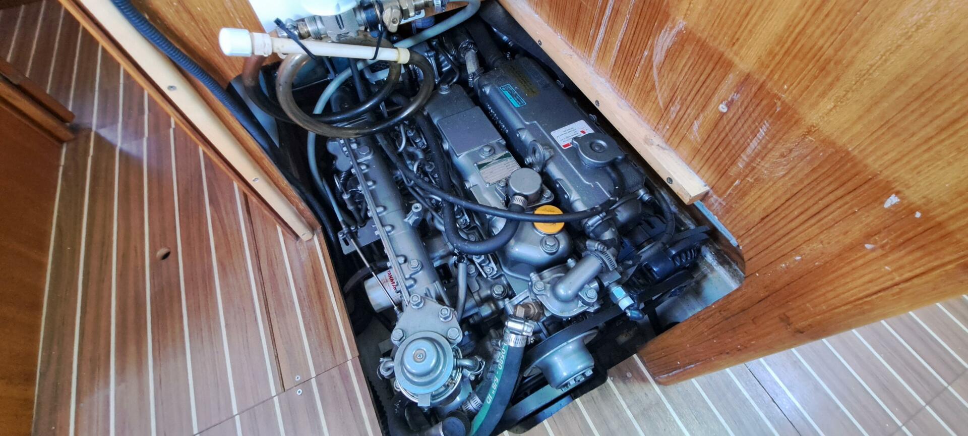 Slide: The Image of Hunter 47 2006 - 3984043