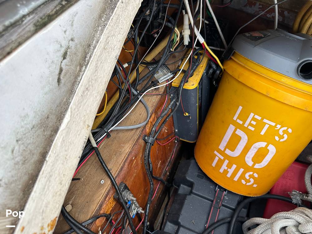 Slide: The Image of Hunter Cherubini 37 1981 - 76