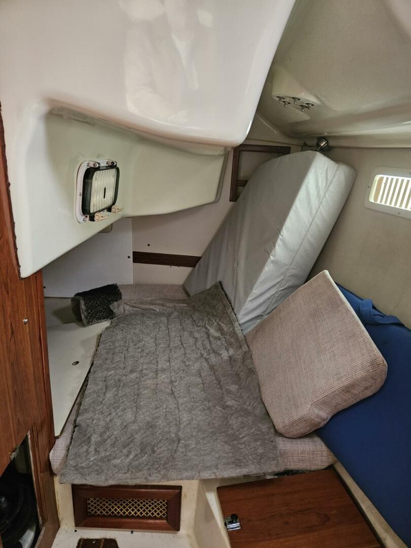 Slide: The Image of Hunter Hunter Vision 32 1992 - 5166543