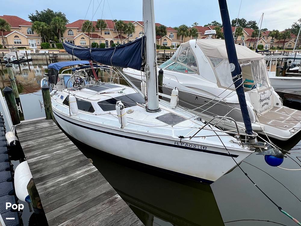 Slide: The Image of Hunter Vision 32 1989 - 15655845