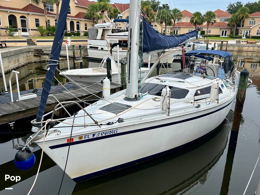 Slide: The Image of Hunter Vision 32 1989 - 15655846