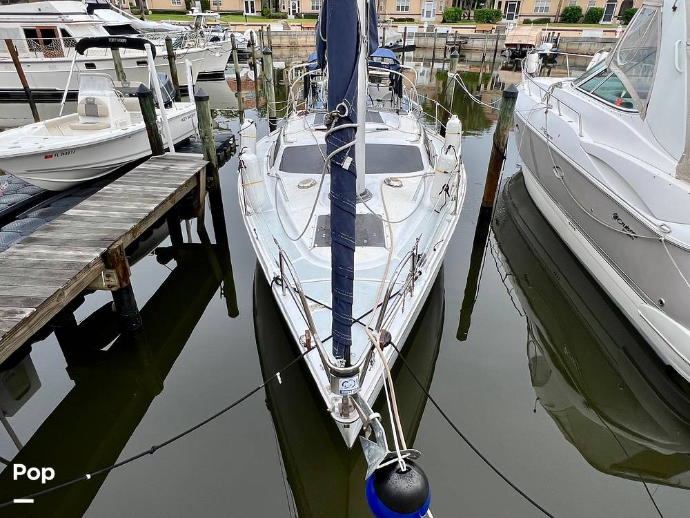 Slide: The Image of Hunter Vision 32 1989 - 15655849