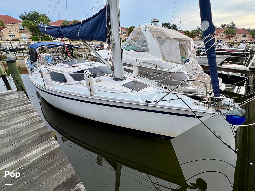 Slide: The Image of Hunter Vision 32 1989 - 15655850