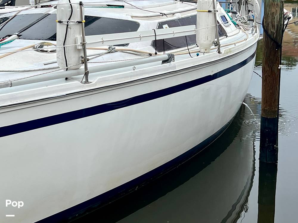 Slide: The Image of Hunter Vision 32 1989 - 15655858