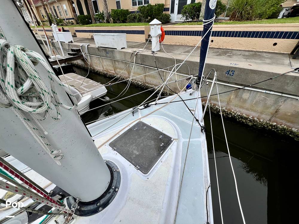 Slide: The Image of Hunter Vision 32 1989 - 15655864