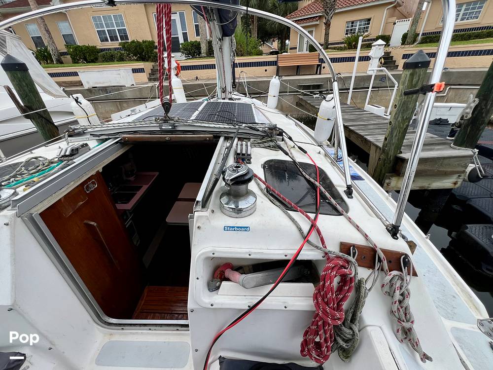 Slide: The Image of Hunter Vision 32 1989 - 15656039