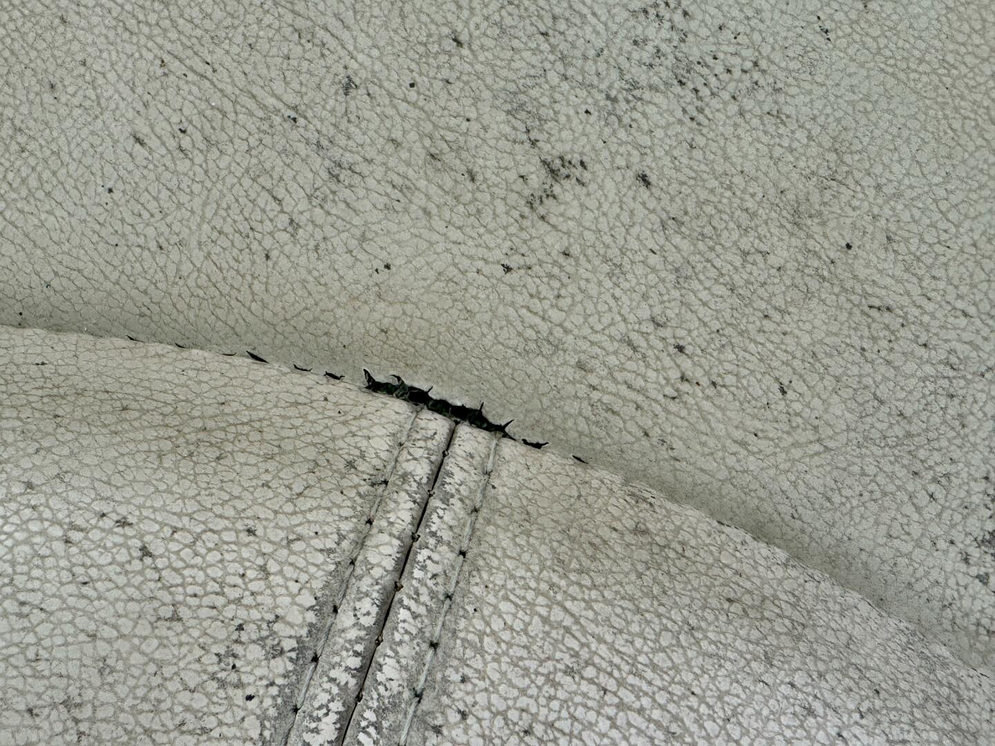 Slide: The Image of Hurricane Sun Deck Sport Series 201 OB 2019 - 4656899