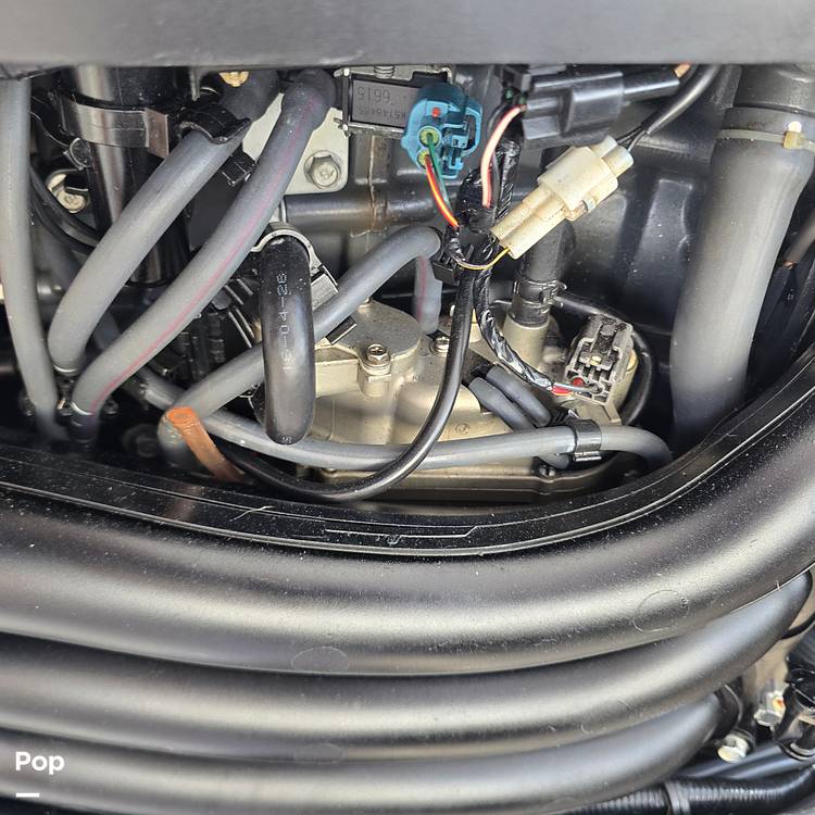 Slide: The Image of Hydra-Sports Custom 30 2017 - 15116646