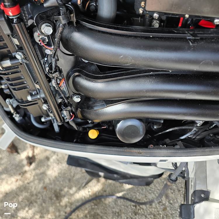 Slide: The Image of Hydra-Sports Custom 30 2017 - 15116648