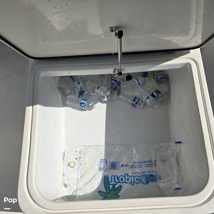 Slide: The Image of Hydra-Sports Vector 2900 CC 2006 - 14539673