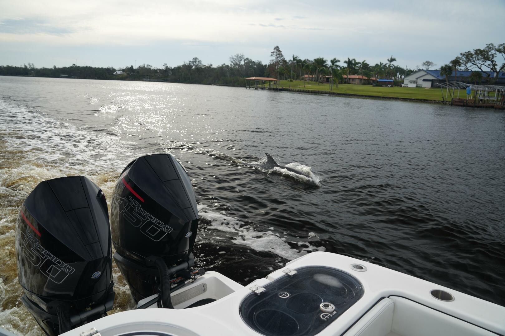 Slide: The Image of Invincible 46 Catamaran 2022 - 4787011
