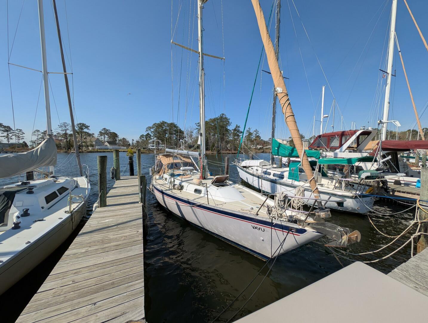 Slide: The Image of V3.1 - 5166942